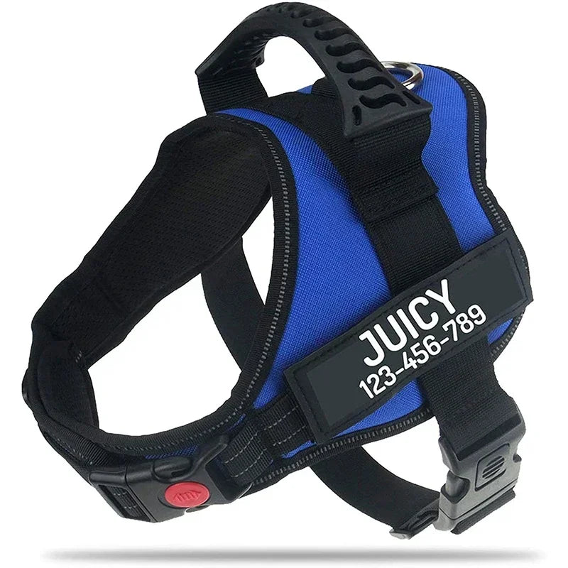 Zhejiang No Pull Dog Harness With Custom Name And Phone