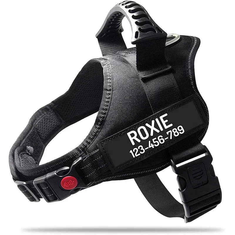 Zhejiang No Pull Dog Harness With Custom Name And Phone