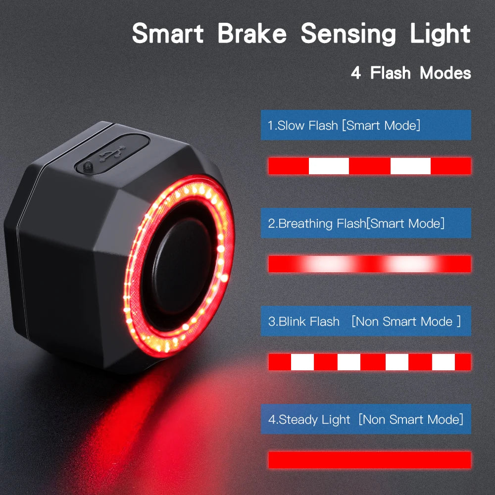 WSDCAM Smart Bike Taillight Alarm With Remote Control 110dB
