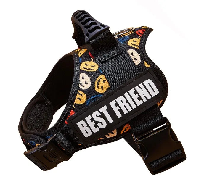 Zhejiang No Pull Dog Harness With Custom Name And Phone