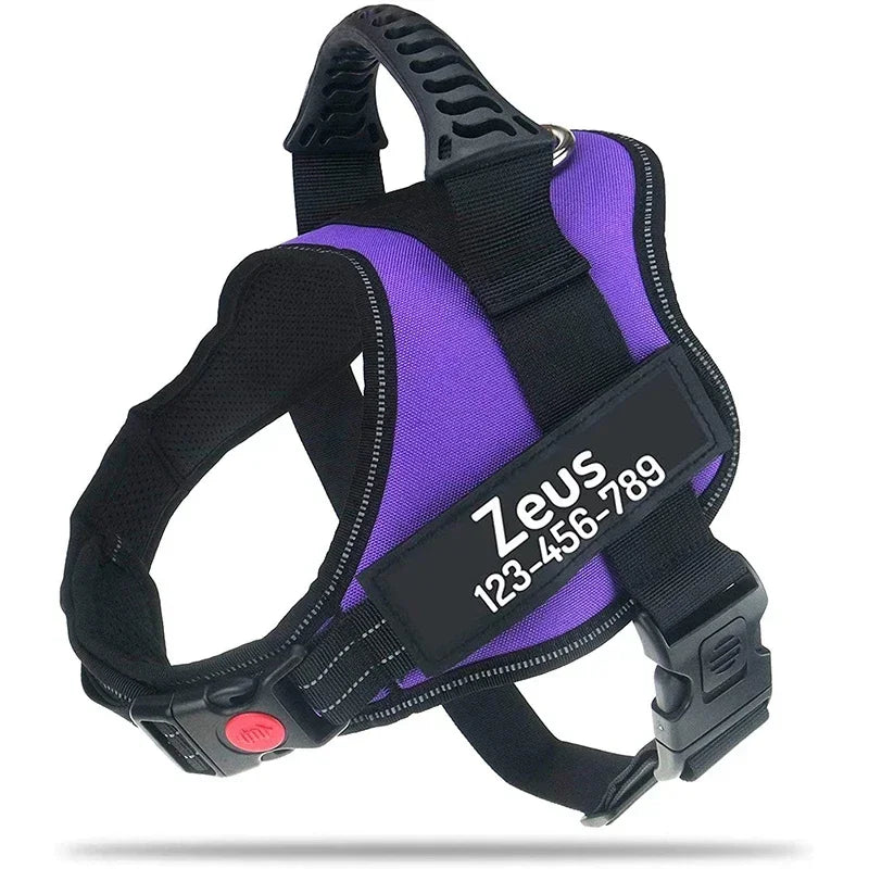 Zhejiang No Pull Dog Harness With Custom Name And Phone