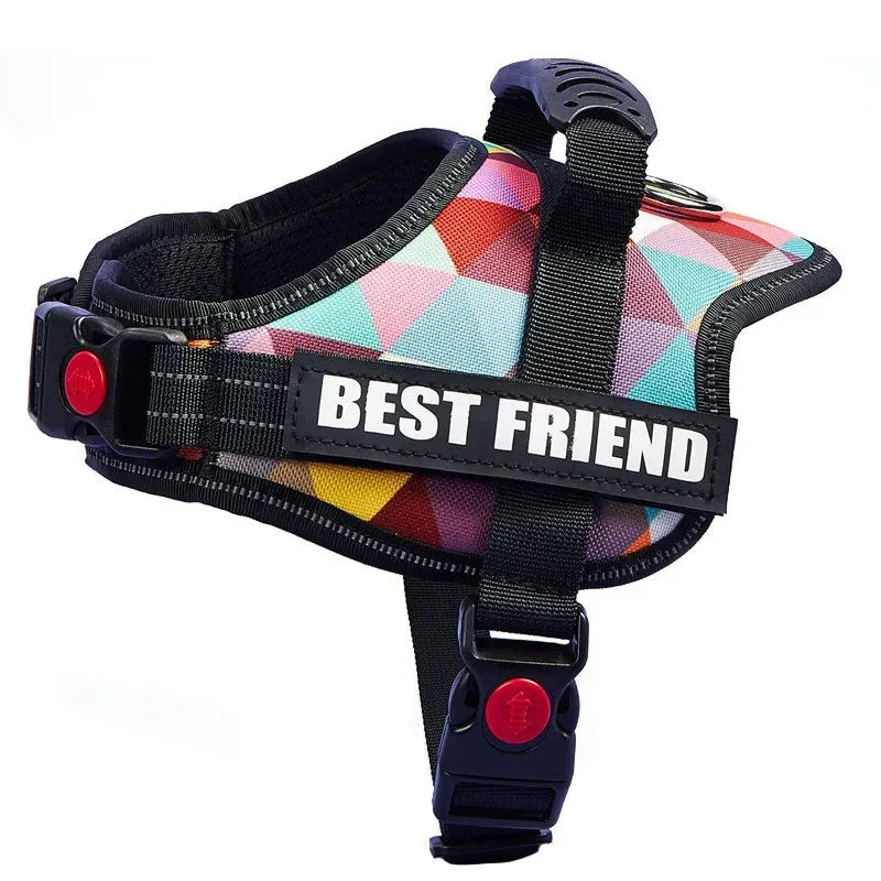 Zhejiang No Pull Dog Harness With Custom Name And Phone