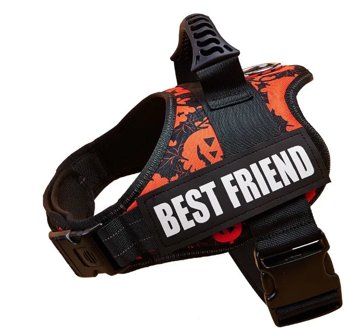 Zhejiang No Pull Dog Harness With Custom Name And Phone