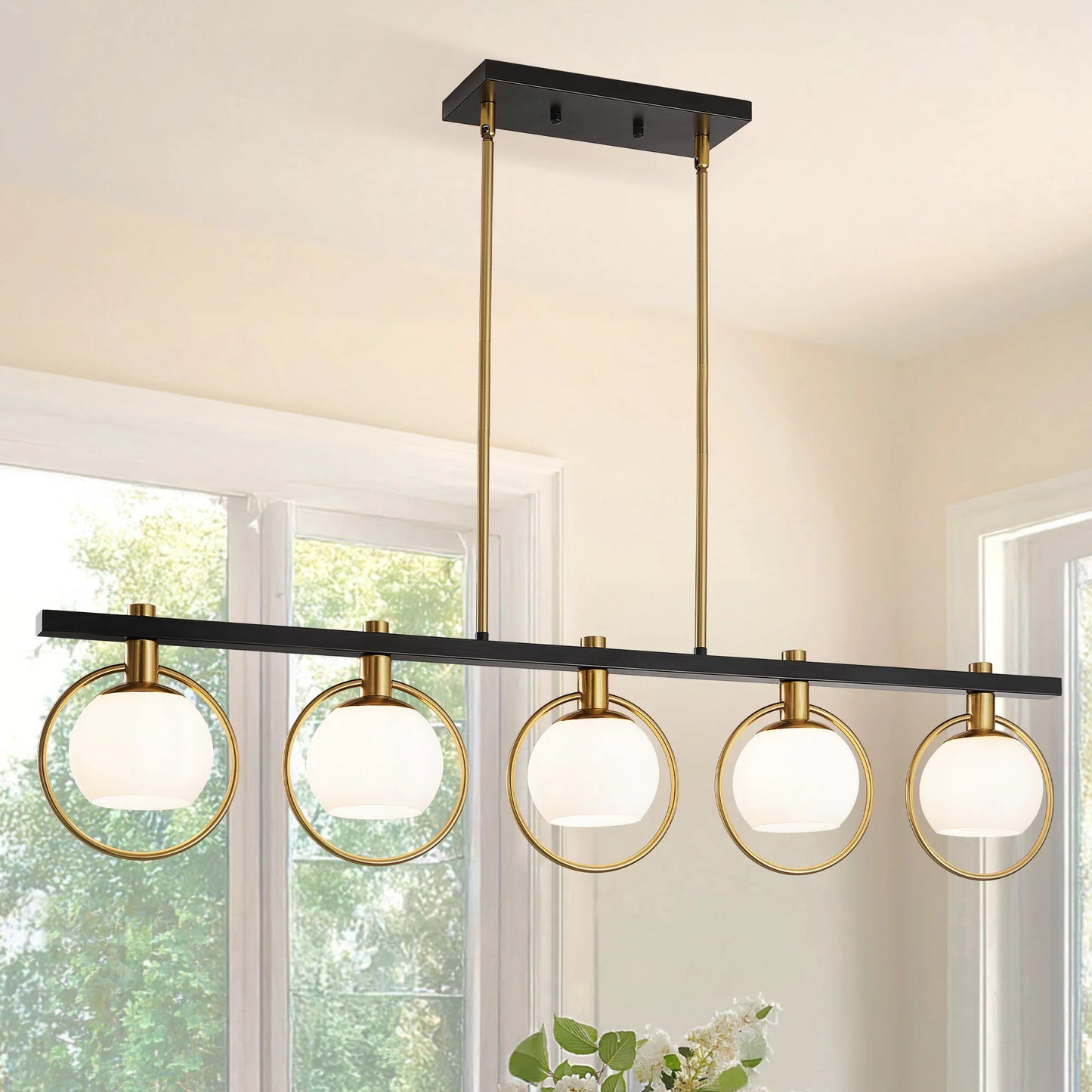 Modern Five Light Adjustable Chandelier With Glass Shades